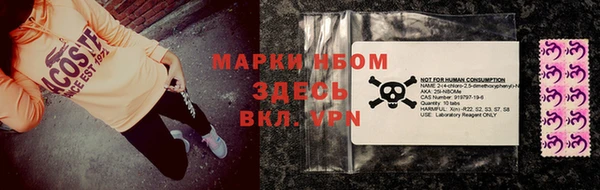 мдпв Инта