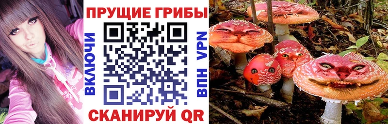 Псилоцибиновые грибы Magic Shrooms  Купить  Каргополь 